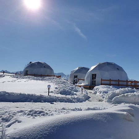 Glamping Pasieka Namiot Glamp Bukowina Tatrzanska - Domki W Gorach Groń Exteriér fotografie