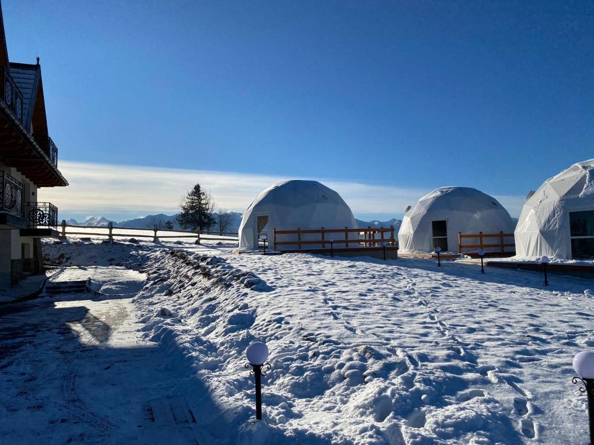 Glamping Pasieka Namiot Glamp Bukowina Tatrzanska - Domki W Gorach Groń Exteriér fotografie