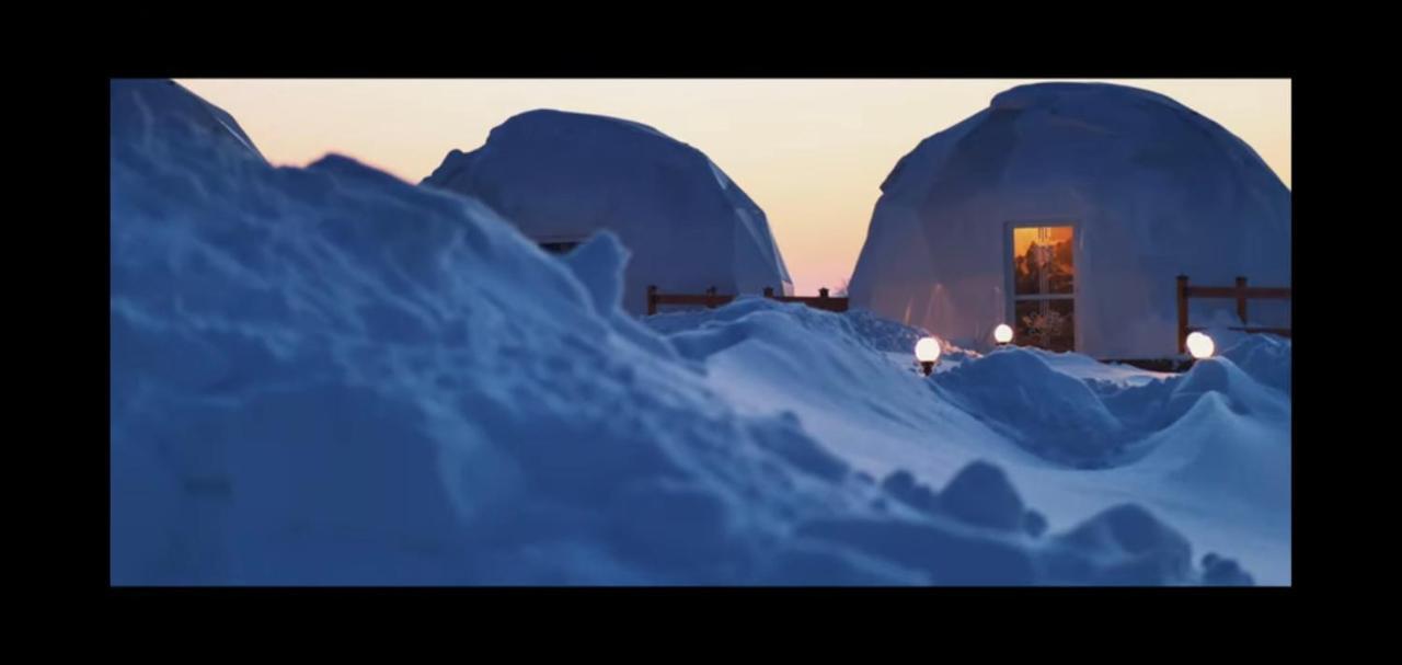 Glamping Pasieka Namiot Glamp Bukowina Tatrzanska - Domki W Gorach Groń Exteriér fotografie