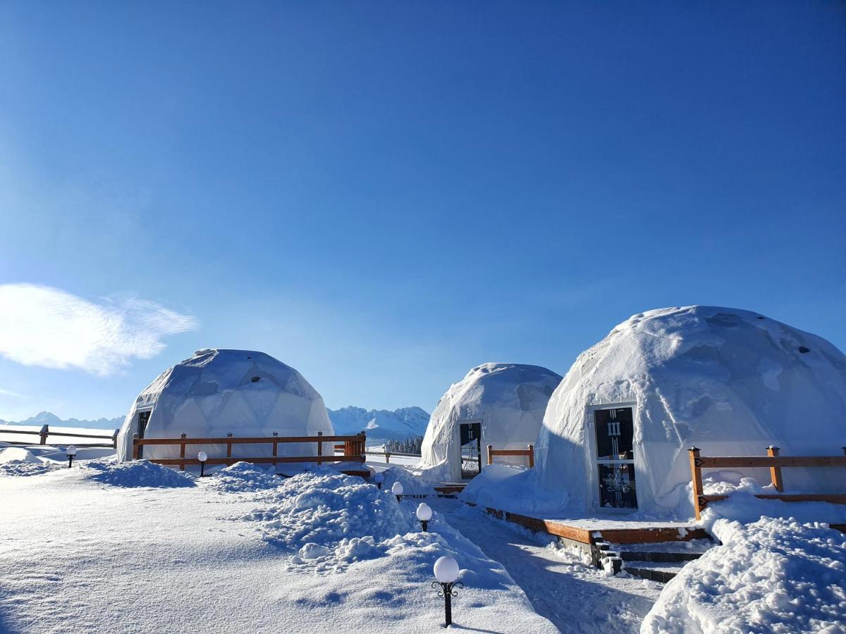 Glamping Pasieka Namiot Glamp Bukowina Tatrzanska - Domki W Gorach Groń Exteriér fotografie