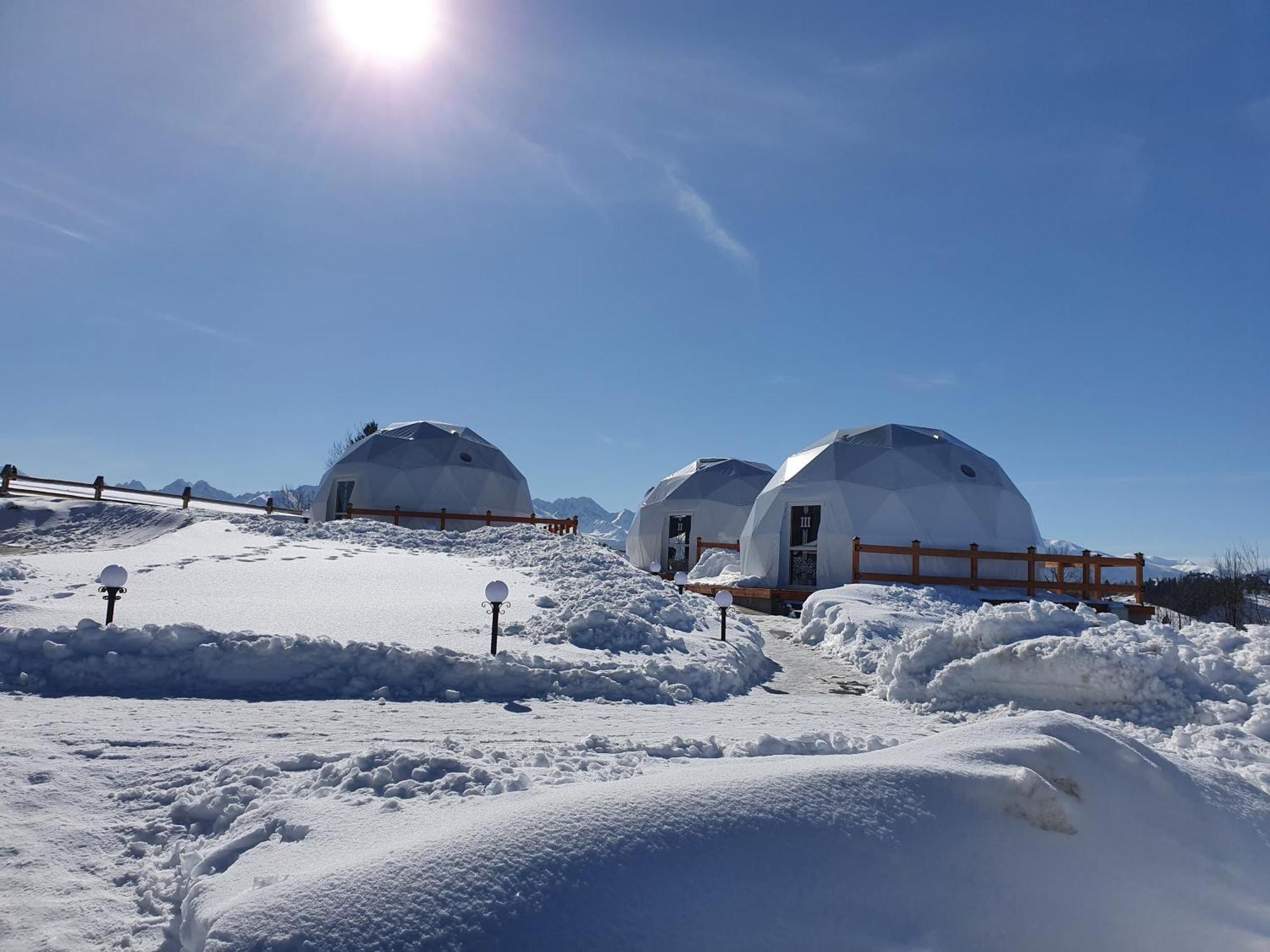 Glamping Pasieka Namiot Glamp Bukowina Tatrzanska - Domki W Gorach Groń Exteriér fotografie