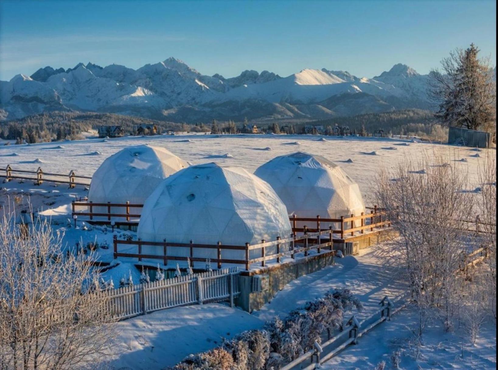 Glamping Pasieka Namiot Glamp Bukowina Tatrzanska - Domki W Gorach Groń Exteriér fotografie